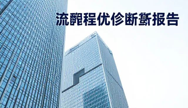 行业转型中流程优化诊断报告的性能表现与适用场景分析
